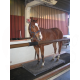 Paardenweegschaal TLLTPW 1080-NE mobiel